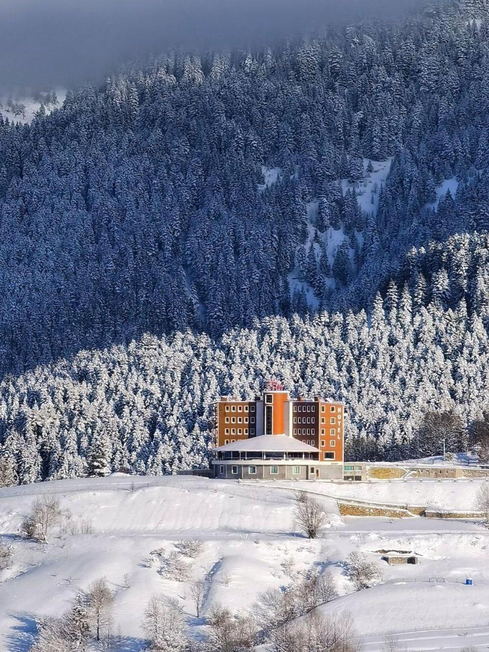 Black Forest Hotel Savsat Luaran gambar