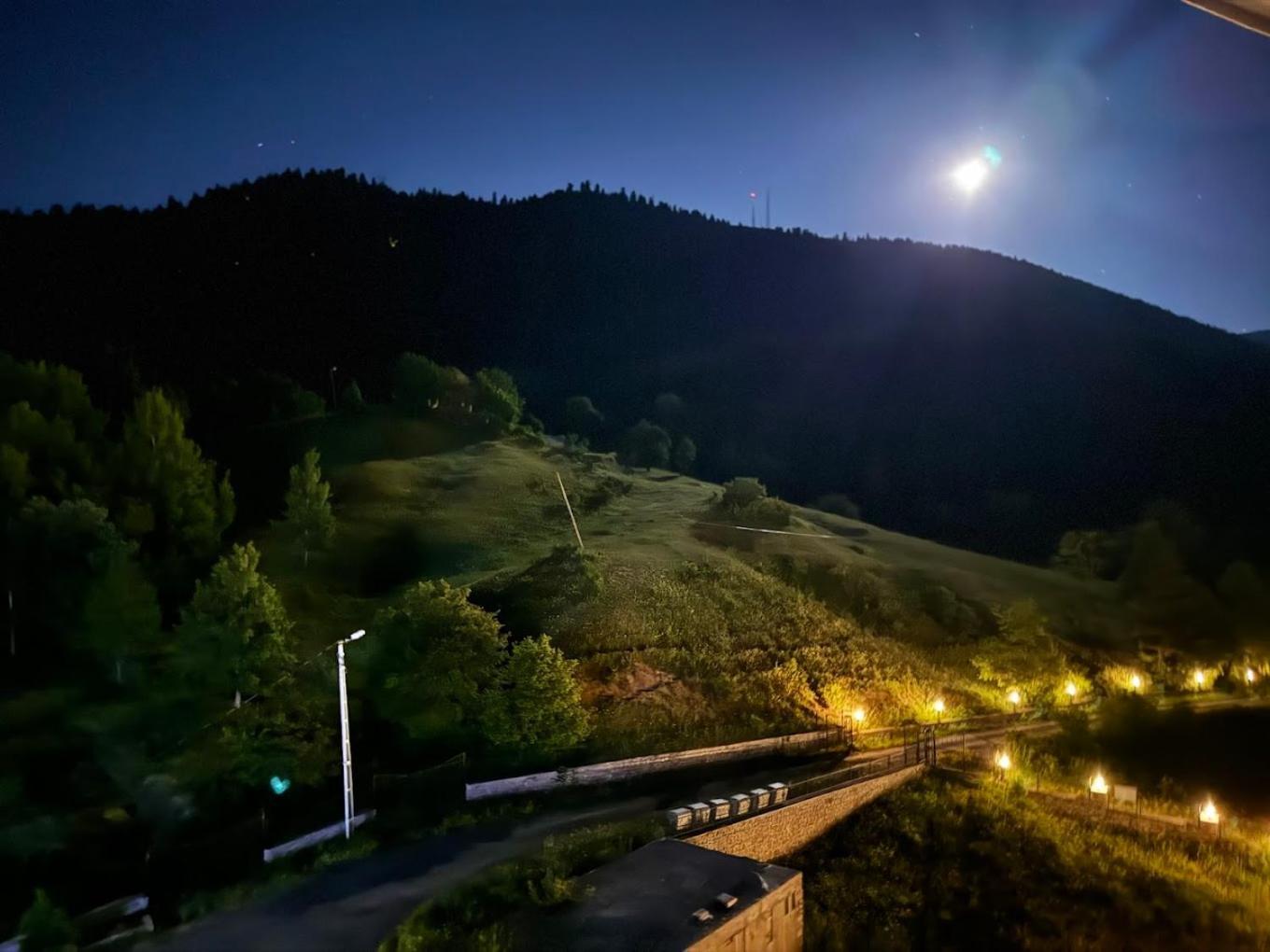 Black Forest Hotel Savsat Luaran gambar