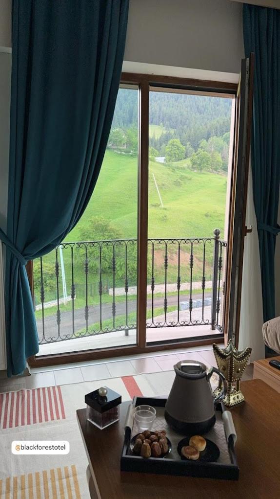 Black Forest Hotel Savsat Luaran gambar
