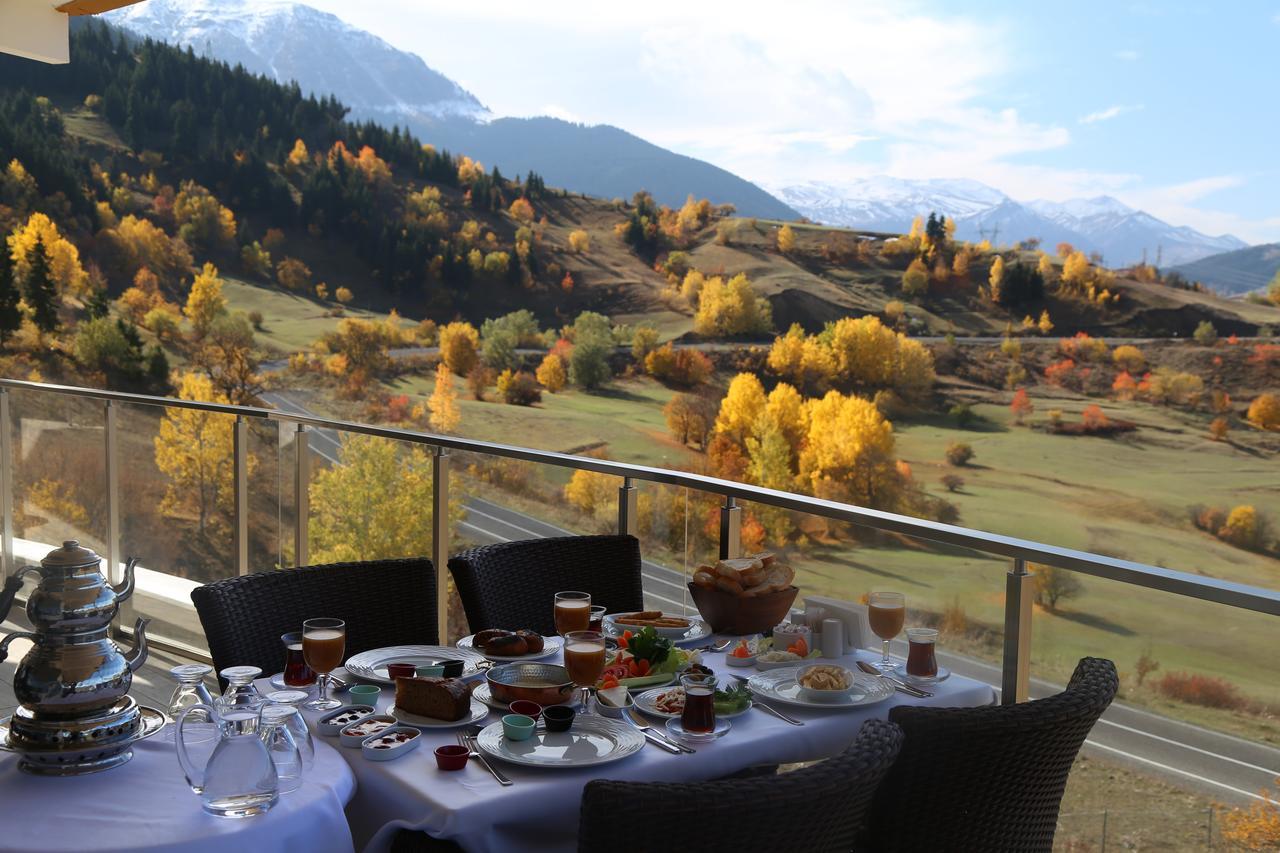 Black Forest Hotel Savsat Luaran gambar