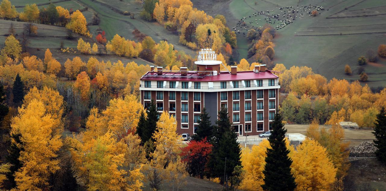 Black Forest Hotel Savsat Luaran gambar